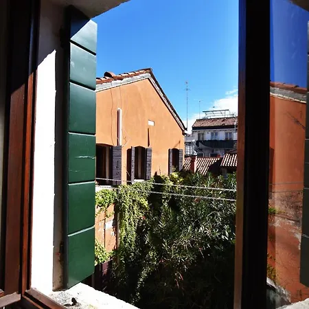 Roof View *